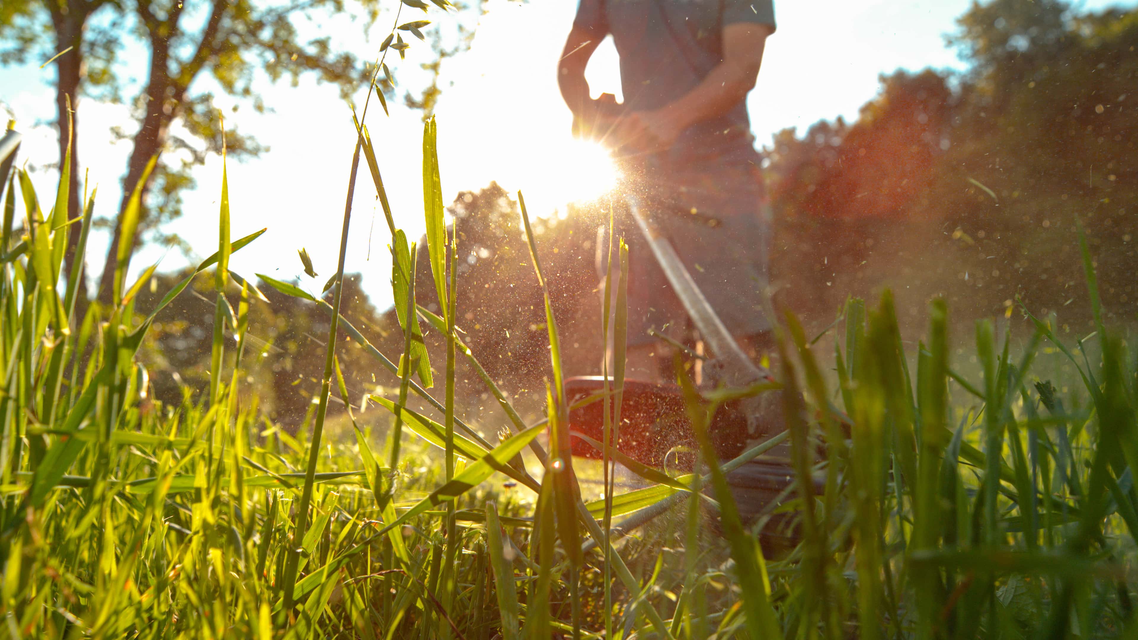 Hero image for Jackson & Son Landscaping Inc
