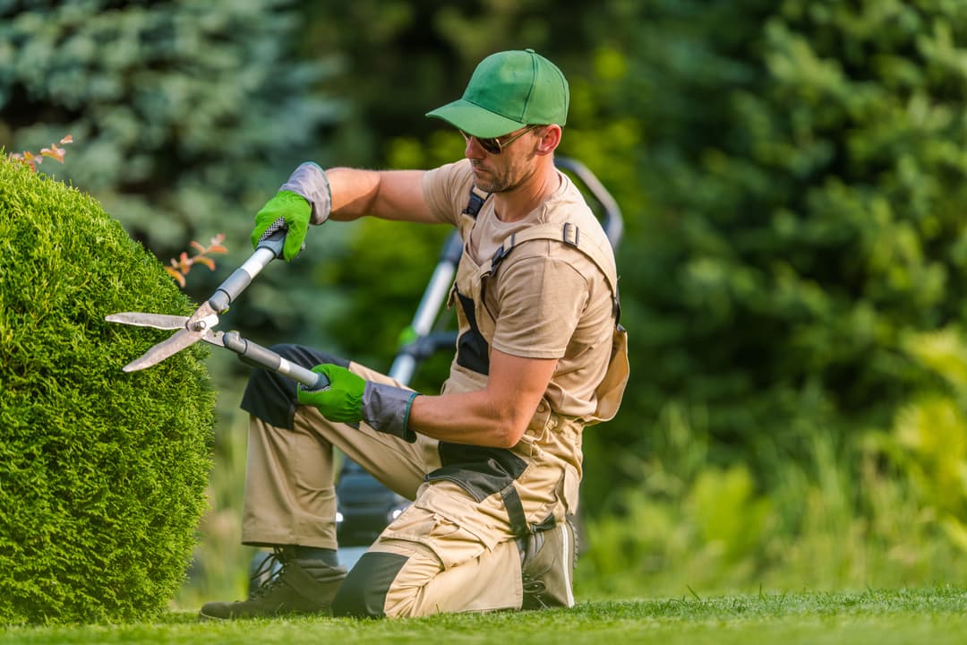About Jackson & Son Landscaping Inc