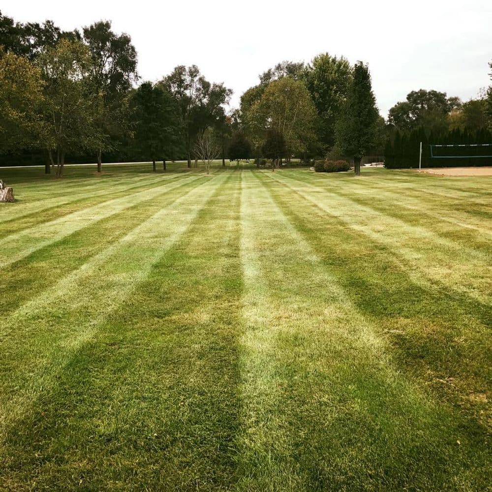 Lush green lawn with neatly striped patterns, surrounded by trees in a tranquil setting.