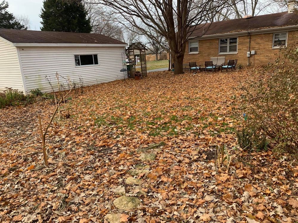 Backyard scene covered in fallen leaves with a house, patio, and trees in autumn.