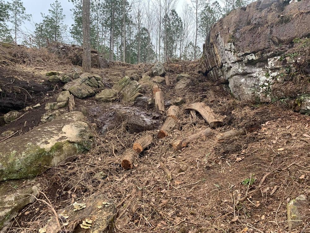 Rocky terrain with fallen logs and sparse trees in a forested area.