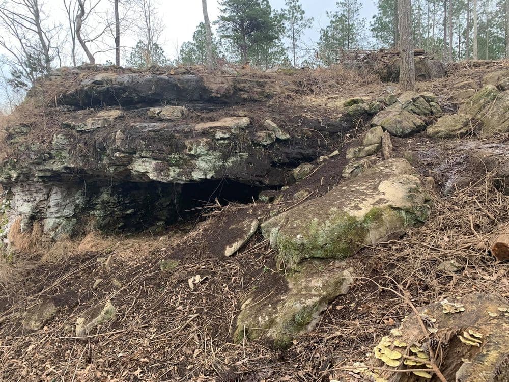 Rocky cave entrance surrounded by trees and natural debris on a hillside.