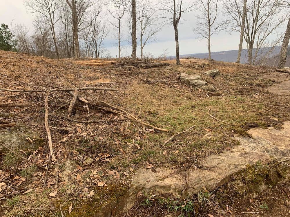 Cleared forest area with rocks, fallen branches, and bare trees overlooking a valley.