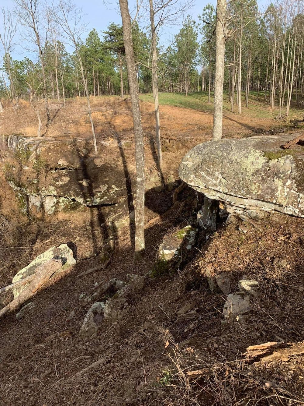 Rocky landscape with trees and shadows, highlighting natural terrain in a wooded area.